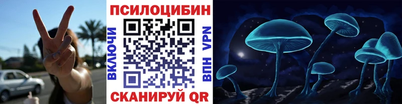 shop телеграм Электросталь Галлюциногенные грибы Magic Shrooms купить наркотики сайты